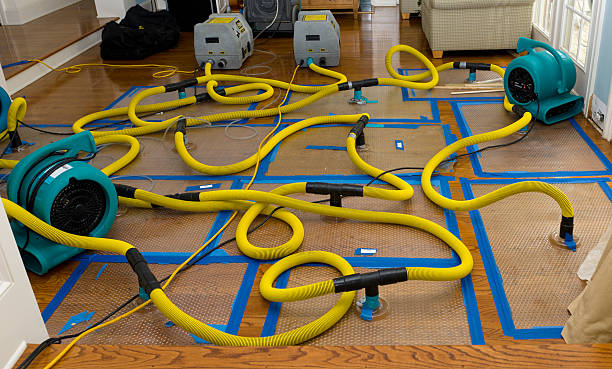 Professional Crawl Space Water Removal technician working in Lanham, MD